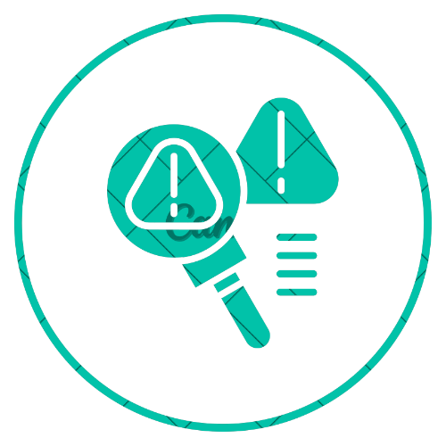 Home Snagging Service